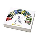 SET DE FLORES DE BACH, 38 Flores + 2 Remedio Rescate de 10 ml.
