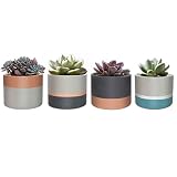 Macetas suculentas Modernas, Mini macetas de hormigón para Plantas, macetas suculentas Doradas, macetero suculento de Cemento de 3.0 in, Juego de 4