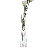 Florero de vidrio de 20 cm de altura, florero decorativo transparente para brote, jarrones de un solo tallo para el hogar, boda, oficina, decoración de Navidad