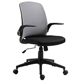 Vinsetto Silla de Oficina Ergonómica Silla Escritorio Giratoria Ajustable en Altura con Reposabrazos Abatible Soporte Lumbar y Respaldo Transpirable 57x61x93-102 cm Gris