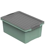 Rotho Compact Caja de almacenamiento 13l con tapa, Plástico (PP reciclado) sin BPA, verde/antracita, A4/13l (39.5 x 27.5 x 18.0 cm)