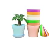 8 PCS Macetas de Plástico, Macetas de Vivero con Bandeja Inferior y Agujeros de Drenaje para Flores, Jardín, Salón, Hierbas, Balcón, Macetas de Plantas de Interior y de Exterior para Hogar (10_cm)