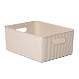TATAY Caja Organizadora Rectangular Baobab ECOHOME, 15L de Capacidad, de Polipropileno, Libre de BPA, Plástico 100% Reciclado. Medidas 29,4 x 38,5 x 16 cm