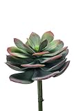 artplants.de Echeveria Falsa POZOLE en Vara de Ajuste, Verde-Rojo, 25cm - Suculenta Artificial - Rosa de alabastro de plástico