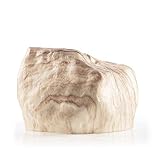 Botanyia Macetero de piedra arenisca, 3 piezas, elegante maceta con cierre magnético de clic, evita la luz solar, menos riego [incluye maceta y bandeja]