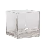 Acan Florero de Cristal con Forma Cuadrada, de 11 x 10 x 10 cm, con diseño Actual y Elegante. Centro de Vidrio para Plantas, Flores u Otros Accesorios Decorativos, Ideal para decoración del hogar.