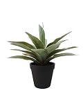 artplants.de Agave sintético Desiree de plástico, Verde, 20cm, Ø25cm - Pitera Artificial - Pita sintética