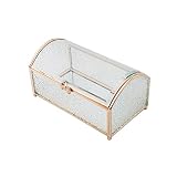 HARLIANGXY Joyero de metal y cristal, caja de joyas con tapa, caja para joyas, vintage, resistente al polvo, caja de joyas, caja para joyas, pendientes, anillos, 18 x 10,3 x 8,5 cm