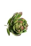 artplants.de Echeveria pelusida de plástico Oaxaca en Vara de Ajuste, Verde, Ø20cm - Suculenta Artificial - Rosa de alabastro Decorativa