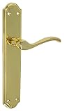 Amig - Juego de Manillas de Placa Doradas de Zamak Latonado para Puertas de Paso de Interior - 256 x 48 mm · Cuadradillo de 8 mm | Incluye Tornillos