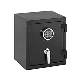 Amazon Basics - Caja fuerte ignífuga, 23.5 l