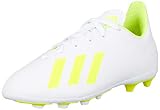 Adidas X 18.4 FxG J, Zapatillas de Deporte Unisex niño, Multicolor (Ftwbla/Amasol/Ftwbla 000), 28 EU