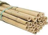 Bricomed Tutor bambú tailandés para Plantas 180cm - Pack 5uds.