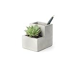 Kikkerland Plantador de Escritorio de hormigón, pequeño (PL02-S)