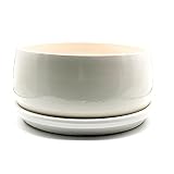 Maceta DE Barro Modelo Bazinga ESMALTADO Blanco + Plato + Medidas 25 CM X12CM