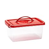 Plastic Forte - Caja de plástico con Tapa de Color Surtido y asa, de 29 x 18,5 x 13 cm, 4 litrosl. Baúl con Tapa para organización del hogar. Arcón de plástico para Distintos usos