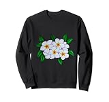 Blanco Tropical Frangipani Flor Cabeza Guam Planta Sudadera