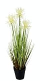 Flair Flower Protea en Maceta de Hierba en Maceta Busch Ufergras Plumas de Seda, Plantas Artificiales, Planta Artificial, Verde Planta Solitaria Hierba Decorativa, Color Blanco, 54 cm