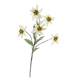 artplants.de Edelweiß de los Alpes Artificial Sophia con 5 Flores, Blanco, 40cm - Leontopodium alpinum - Planta sintética