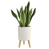 Lagita macetas con Soporte Maceta autorriego Interior,macetas Decorativas Interior, maceteros elevados - 1 Pieza Blanc