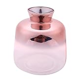 Haudang Jarrón de cristal nórdico galvanizado dorado jarrón de cristal flores jarrones para decoración del hogar flores secas botella Bar (9 x 11 cm)