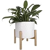 LA JOLIE MUSE Macetero de cerámica con Soporte de Madera - Macetero Decorativo Interior, Maceta cilíndrico en Relieve de Margarita con Agujero de Drenaje, Blanco Brillante, 24.5cm(H) x 20.3cm(W)