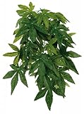 Planta seda colgante terrarios Abutilon TRIXIE Decoracion terrario habitat reptil