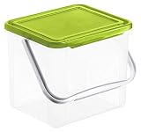 Rotho Basic, Caja de almacenamiento de 5l con tapa y asa, Plástico PP sin BPA, verde, 3kg, 5l 21.0 x 20.0 x 18.0 cm