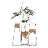 Sziqiqi 3 Piezas Floreros de Vidrio Transparente con Cuerda, Centro de Mesa de Florero para Recepción Nupcial Decoración de la Mesa de la Fiesta de Bienvenida al Bebé, 3 Piezas