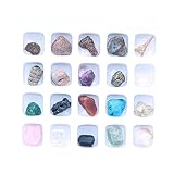 Namvo Juego de 20 piezas de minerales naturales mixtos de piedras naturales fósiles animales para la escuela educación geológica decoración del hogar regalo para niños