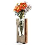 Ulif Florero de Vidrio Macetero con Soporte de Madera Jarrón de Vidrio Transparente para Jardinería Planta de Hidroponía Decoración de Escritorio Casa Boda