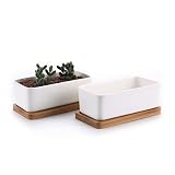 T4U Conjunto de 2 Rectángulo Blanco de cerámica Cerámicos Planta Maceta Suculento Cactus Planta Contenedor Vivero Macetas de jardín Envase