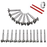 flintronic Brocas Forstner, 19PCS (10mm ~ 40mm) Brocas Set de Acero al Tungsteno Titanium Recubierto, Fresadora Herramienta para Perforadora, Corte Agujero en Carpintería para Madera