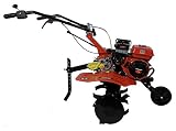 SAKAWA Motocultor Motoazada 7,5 CV 2 Vel Adelante 1 Atrás
