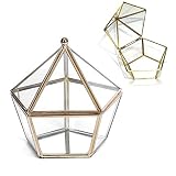 Schneespitze Caja Envase Geométrico,Organizador De CosméTicos,Planta Suculento Terrario Transparente Terrario Geométrico,Joyero De Cristal Dorado,Bandeja con Espejo