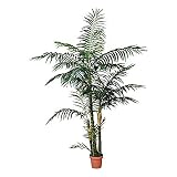 Catral 53010136 Palmera, 20.0x20.0x130.0 cm