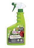 Compo Fungicida Stop Savial direct, Pulverizador,2 en 1 Preventivo y Curativo, Para plantas ornamentales, arbustos y árboles, 750 ml, 2197902011