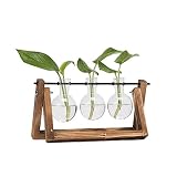 Hyindoor Florero de Vidrio para Planta Hidropónica Florero de Bulbos de 3 Jarrones de Bombilla Cristal con Soporte de Madera de Escritorio