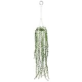 Cadena de perlas artificiales de plantas en blanco para colgar plantas de imitación cola de burro suculentas artificiales para decoración del hogar