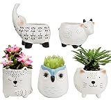 La Jolíe Muse Macetas de ceramica para suculentas, macetas animales - Maceta suculentas con agujeros de drenaje, Gato Vaca Elefante Zorro Búho, Regalos navidad, Set 5