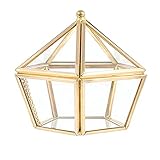 Cajas para Joyas de Vidrio, Joyero Decorativo de Cristal, Caja de Joyería de Cristal Transparente, Caja de Vidrio Geométrica, para Ceremonia, Decoración de Boda, Maceta de Exhibición