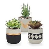 Gadgy Plantas Artificiales Decorativas con Maceta | Juego De 3 | Planta Artificial Decorativa | Plantas Falsas En Macetas De Cemento | Decoracion Interior | Tiestos Pequeñas