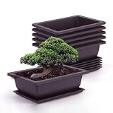 Atlnso - 6 macetas de entrenamiento para bonsái con bandeja, macetero cuadrado para plantas suculentas para jardín, salón y oficina
