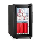 Klarstein Brooklyn Slim - Mini nevera, nevera pequeña, LED, puerta de cristal con inserción de plástico, nevera con puerta de cristal