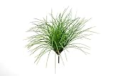 artplants.de Carrizo Artificial Elias con Vara de Ajuste, abundantes Tallos Verdes, 55cm - Carrizo sintético - Planta Decorativa