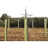 Protector de arbol tronco perforado y biselado de 150 cm. de altura. Pack 4 unidades Protección contra fauna cinegética de gran tamaño.
