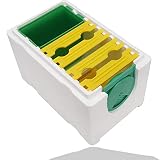 Caja de espuma para polinización de abejas DAUERHAFT, herramienta de apicultura para colmena de apareamiento de abejas, equipo de apicultura, caja de abejas de cría de reinas, para polinización de jar