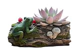 ELENANO Macetero suculenta Decorativo de Animales Tronco Rana Interior Exterior 24cm Adorno Moderno Cemento NO Incluye Flores