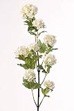 artplants.de Rama Artificial de viburno Pino, Crema, 110cm, Ø5-9cm - Sauquillo Artificial - Rama Decorativa de Viburnum simulado