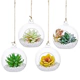 Glasseam Plantas Colgantes de Aire 4 Piezas Portavelas de 4 Inches Cristal Terrario Portavelas Contenedores de Plantas de Vidrio  para el Diseño de Bricolaje de Jardín de Bodas en Casa